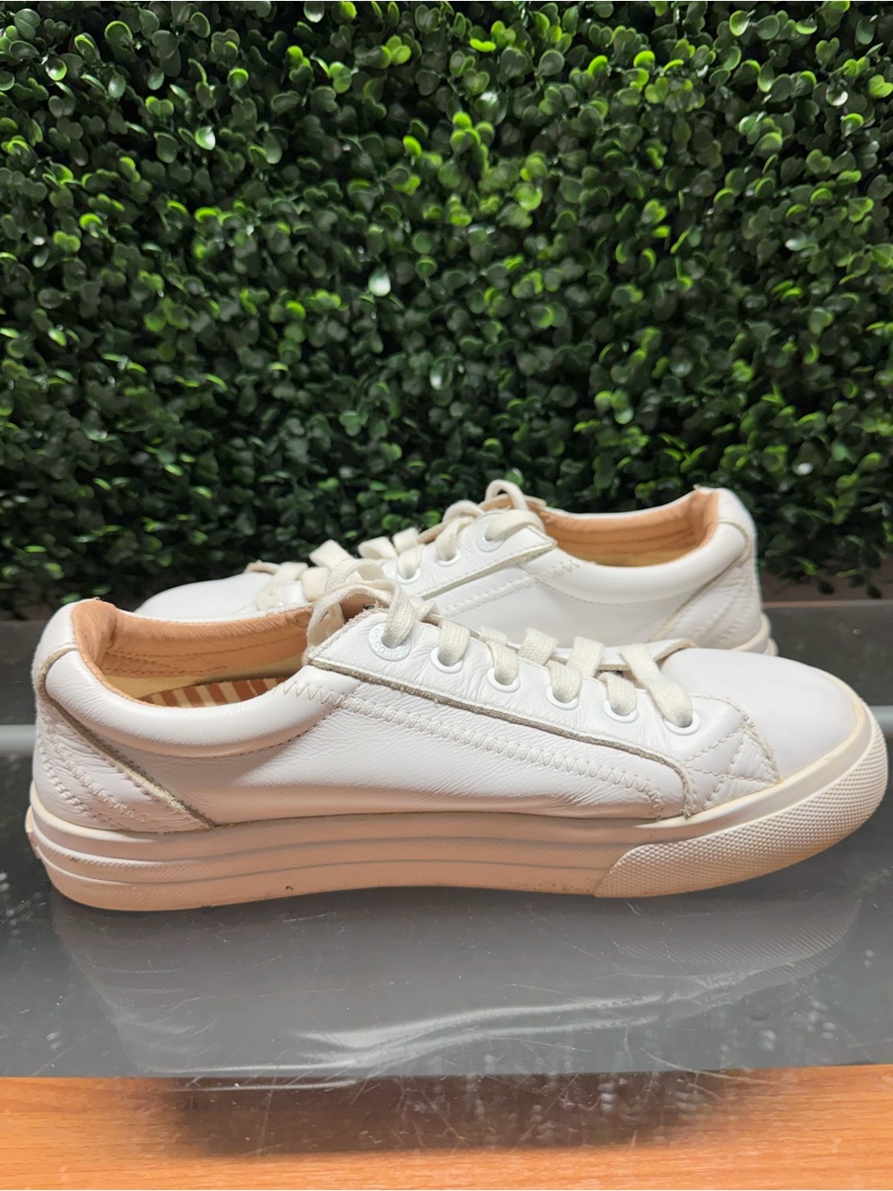 Taos Footwear White Leather Low-Top Sneakers - Picture 4 of 10